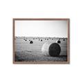 Picture of Hay Bails _GroupedProduct_Rectangle_Landscape_Photography _GroupedProduct_Rectangle_Landscape_Framed_Matted_