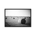 Picture of Hay Bails _GroupedProduct_Rectangle_Landscape_Photography _GroupedProduct_Rectangle_Landscape_Framed_Matted_