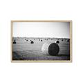 Picture of Hay Bails _GroupedProduct_Rectangle_Landscape_Photography _GroupedProduct_Rectangle_Landscape_Framed_Matted_