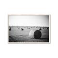 Picture of Hay Bails _GroupedProduct_Rectangle_Landscape_Photography _GroupedProduct_Rectangle_Landscape_Framed_Matted_