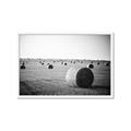 Picture of Hay Bails _GroupedProduct_Rectangle_Landscape_Photography _GroupedProduct_Rectangle_Landscape_Framed_Matted_