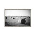 Picture of Hay Bails _GroupedProduct_Rectangle_Landscape_Photography _GroupedProduct_Rectangle_Landscape_Framed_Matted_