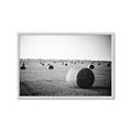 Picture of Hay Bails _GroupedProduct_Rectangle_Landscape_Photography _GroupedProduct_Rectangle_Landscape_Framed_Matted_