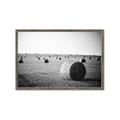 Picture of Hay Bails _GroupedProduct_Rectangle_Landscape_Photography _GroupedProduct_Rectangle_Landscape_Framed_Matted_