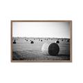 Picture of Hay Bails _GroupedProduct_Rectangle_Landscape_Photography _GroupedProduct_Rectangle_Landscape_Framed_Matted_
