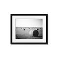 Picture of Hay Bails _GroupedProduct_Rectangle_Landscape_Photography _GroupedProduct_Rectangle_Landscape_Framed_Matted_