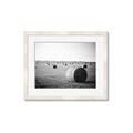 Picture of Hay Bails _GroupedProduct_Rectangle_Landscape_Photography _GroupedProduct_Rectangle_Landscape_Framed_Matted_