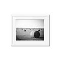Picture of Hay Bails _GroupedProduct_Rectangle_Landscape_Photography _GroupedProduct_Rectangle_Landscape_Framed_Matted_