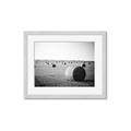 Picture of Hay Bails _GroupedProduct_Rectangle_Landscape_Photography _GroupedProduct_Rectangle_Landscape_Framed_Matted_