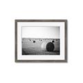 Picture of Hay Bails _GroupedProduct_Rectangle_Landscape_Photography _GroupedProduct_Rectangle_Landscape_Framed_Matted_
