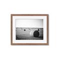 Picture of Hay Bails _GroupedProduct_Rectangle_Landscape_Photography _GroupedProduct_Rectangle_Landscape_Framed_Matted_