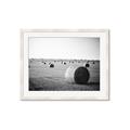 Picture of Hay Bails _GroupedProduct_Rectangle_Landscape_Photography _GroupedProduct_Rectangle_Landscape_Framed_Matted_