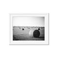 Picture of Hay Bails _GroupedProduct_Rectangle_Landscape_Photography _GroupedProduct_Rectangle_Landscape_Framed_Matted_