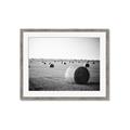Picture of Hay Bails _GroupedProduct_Rectangle_Landscape_Photography _GroupedProduct_Rectangle_Landscape_Framed_Matted_