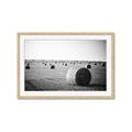 Picture of Hay Bails _GroupedProduct_Rectangle_Landscape_Photography _GroupedProduct_Rectangle_Landscape_Framed_Matted_