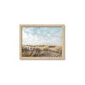 Picture of Grassy View _GroupedProduct_Rectangle_Landscape_Photography _GroupedProduct_Rectangle_Landscape_Framed_Matted_