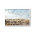 Picture of Grassy View _GroupedProduct_Rectangle_Landscape_Photography _GroupedProduct_Rectangle_Landscape_Framed_Matted_