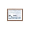 Picture of Time to Sail _GroupedProduct_Rectangle_Landscape_Framed_Matted_