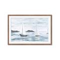 Picture of Time to Sail _GroupedProduct_Rectangle_Landscape_Framed_Matted_