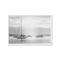 Picture of All the Sails  _GroupedProduct_Rectangle_Landscape_Framed_Matted_