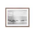 Picture of All the Sails  _GroupedProduct_Rectangle_Landscape_Framed_Matted_