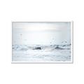 Picture of Seagulls Over the Water _GroupedProduct_Rectangle_Landscape_Photography _GroupedProduct_Rectangle_Landscape_Framed_Matted_