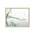 Picture of Sailboat in the Distance _GroupedProduct_Rectangle_Landscape_Photography _GroupedProduct_Rectangle_Landscape_Framed_Matted_