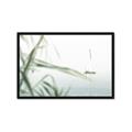 Picture of Sailboat in the Distance _GroupedProduct_Rectangle_Landscape_Photography _GroupedProduct_Rectangle_Landscape_Framed_Matted_
