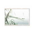 Picture of Sailboat in the Distance _GroupedProduct_Rectangle_Landscape_Photography _GroupedProduct_Rectangle_Landscape_Framed_Matted_