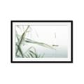 Picture of Sailboat in the Distance _GroupedProduct_Rectangle_Landscape_Photography _GroupedProduct_Rectangle_Landscape_Framed_Matted_