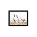 Picture of Beach Pampas _GroupedProduct_Rectangle_Landscape_Photography _GroupedProduct_Rectangle_Landscape_Framed_Matted_
