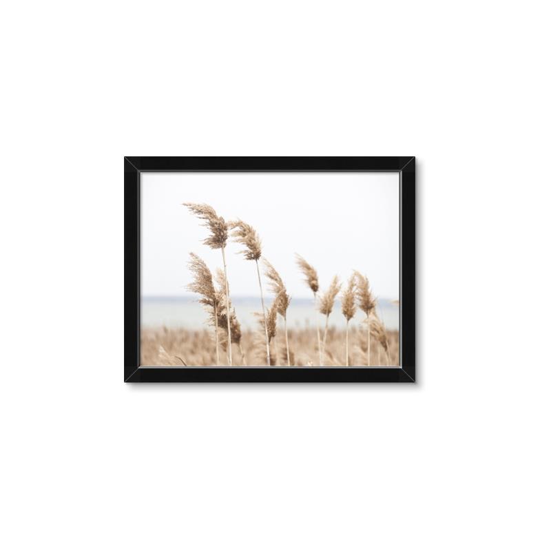 Picture of Beach Pampas _GroupedProduct_Rectangle_Landscape_Photography _GroupedProduct_Rectangle_Landscape_Framed_Matted_