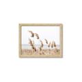 Picture of Beach Pampas _GroupedProduct_Rectangle_Landscape_Photography _GroupedProduct_Rectangle_Landscape_Framed_Matted_