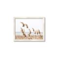 Picture of Beach Pampas _GroupedProduct_Rectangle_Landscape_Photography _GroupedProduct_Rectangle_Landscape_Framed_Matted_