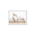Picture of Beach Pampas _GroupedProduct_Rectangle_Landscape_Photography _GroupedProduct_Rectangle_Landscape_Framed_Matted_