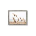 Picture of Beach Pampas _GroupedProduct_Rectangle_Landscape_Photography _GroupedProduct_Rectangle_Landscape_Framed_Matted_