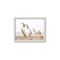 Picture of Beach Pampas _GroupedProduct_Rectangle_Landscape_Photography _GroupedProduct_Rectangle_Landscape_Framed_Matted_