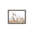 Picture of Beach Pampas _GroupedProduct_Rectangle_Landscape_Photography _GroupedProduct_Rectangle_Landscape_Framed_Matted_