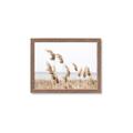 Picture of Beach Pampas _GroupedProduct_Rectangle_Landscape_Photography _GroupedProduct_Rectangle_Landscape_Framed_Matted_