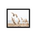 Picture of Beach Pampas _GroupedProduct_Rectangle_Landscape_Photography _GroupedProduct_Rectangle_Landscape_Framed_Matted_