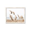 Picture of Beach Pampas _GroupedProduct_Rectangle_Landscape_Photography _GroupedProduct_Rectangle_Landscape_Framed_Matted_