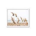 Picture of Beach Pampas _GroupedProduct_Rectangle_Landscape_Photography _GroupedProduct_Rectangle_Landscape_Framed_Matted_