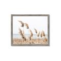 Picture of Beach Pampas _GroupedProduct_Rectangle_Landscape_Photography _GroupedProduct_Rectangle_Landscape_Framed_Matted_