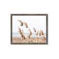 Picture of Beach Pampas _GroupedProduct_Rectangle_Landscape_Photography _GroupedProduct_Rectangle_Landscape_Framed_Matted_