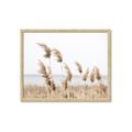 Picture of Beach Pampas _GroupedProduct_Rectangle_Landscape_Photography _GroupedProduct_Rectangle_Landscape_Framed_Matted_