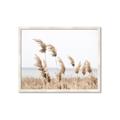 Picture of Beach Pampas _GroupedProduct_Rectangle_Landscape_Photography _GroupedProduct_Rectangle_Landscape_Framed_Matted_