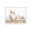 Picture of Beach Pampas _GroupedProduct_Rectangle_Landscape_Photography _GroupedProduct_Rectangle_Landscape_Framed_Matted_