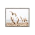 Picture of Beach Pampas _GroupedProduct_Rectangle_Landscape_Photography _GroupedProduct_Rectangle_Landscape_Framed_Matted_