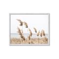 Picture of Beach Pampas _GroupedProduct_Rectangle_Landscape_Photography _GroupedProduct_Rectangle_Landscape_Framed_Matted_