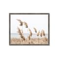 Picture of Beach Pampas _GroupedProduct_Rectangle_Landscape_Photography _GroupedProduct_Rectangle_Landscape_Framed_Matted_
